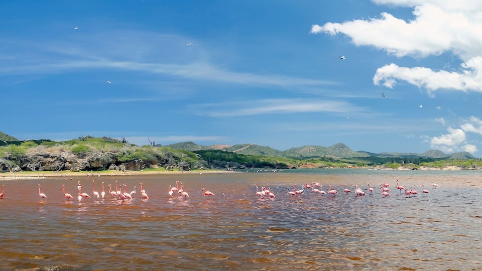 Washington Slagbaai National Park