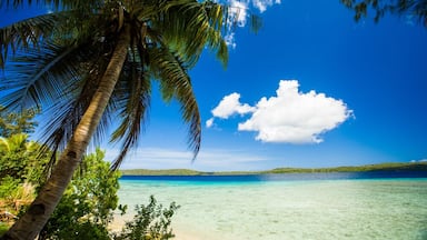 Port Havannah Village, Vanuatu