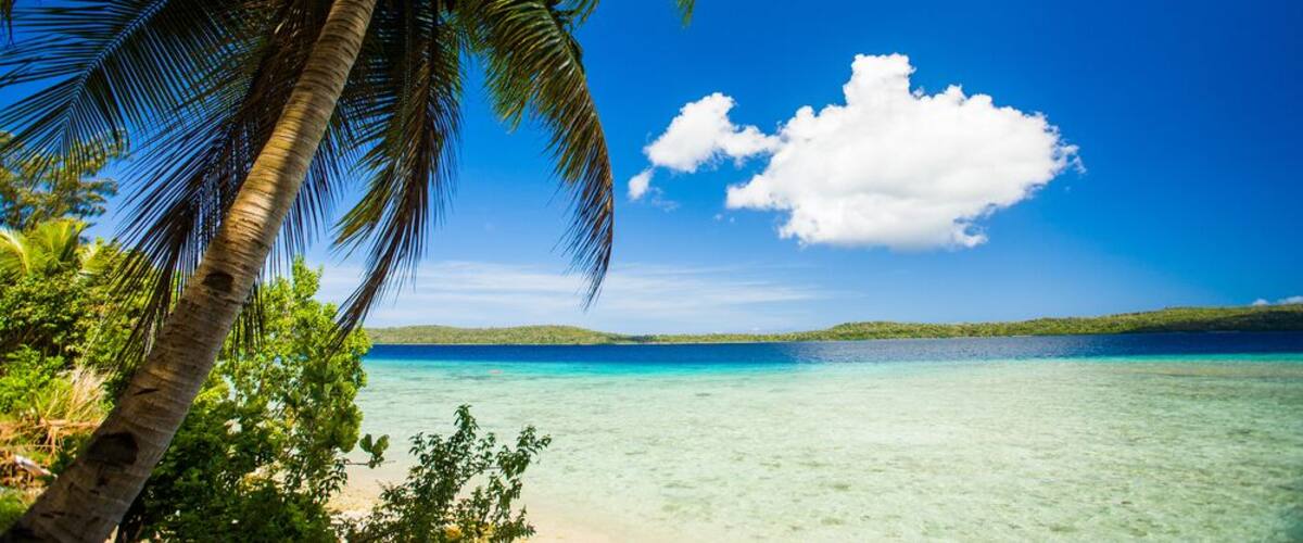 A clear blue sky, a large white cloud, a turquoise sea, and a beach with palm trees.