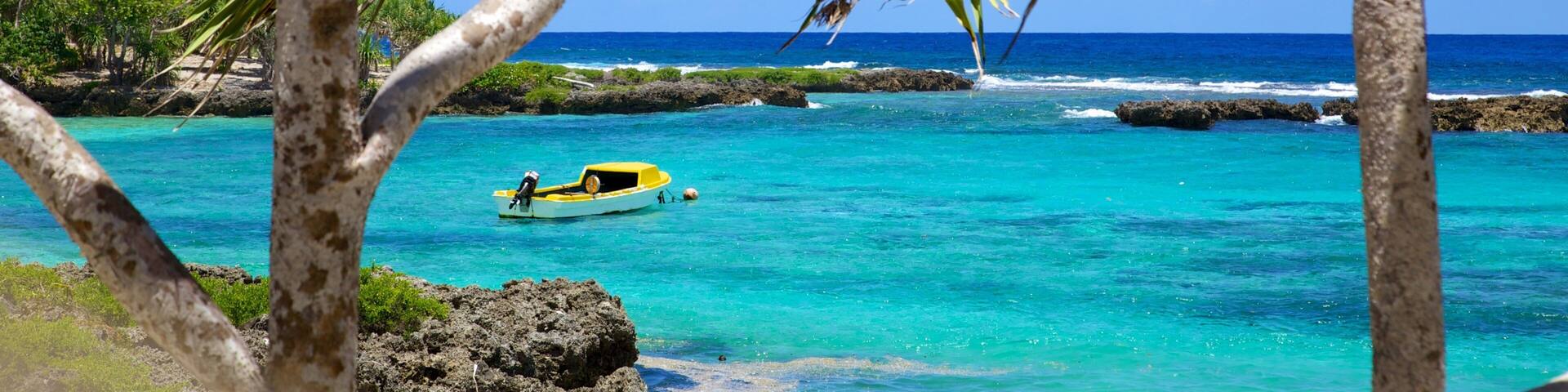 A turquoise ocean with a small boat, rocky coastline, and palm trees.