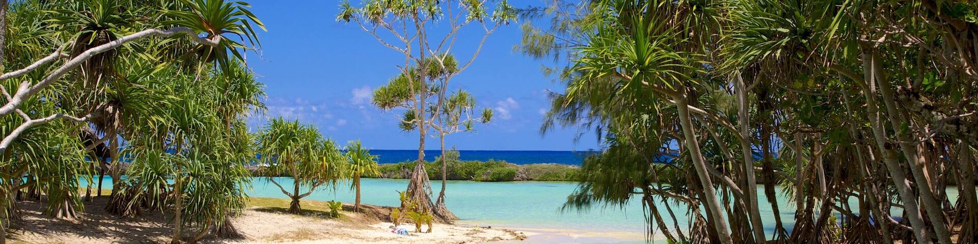 Port Vila showing tropical scenes, landscape views and a beach