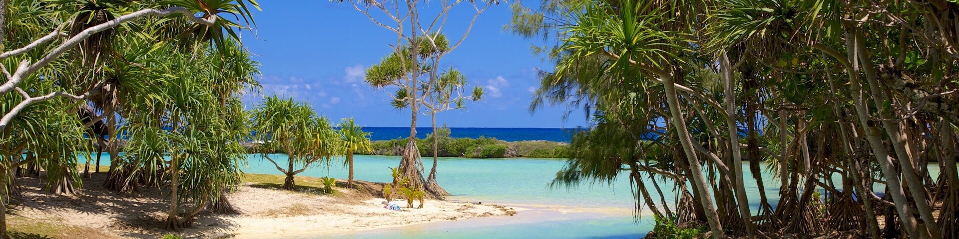 Port Vila mostrando uma praia, paisagem e cenas tropicais