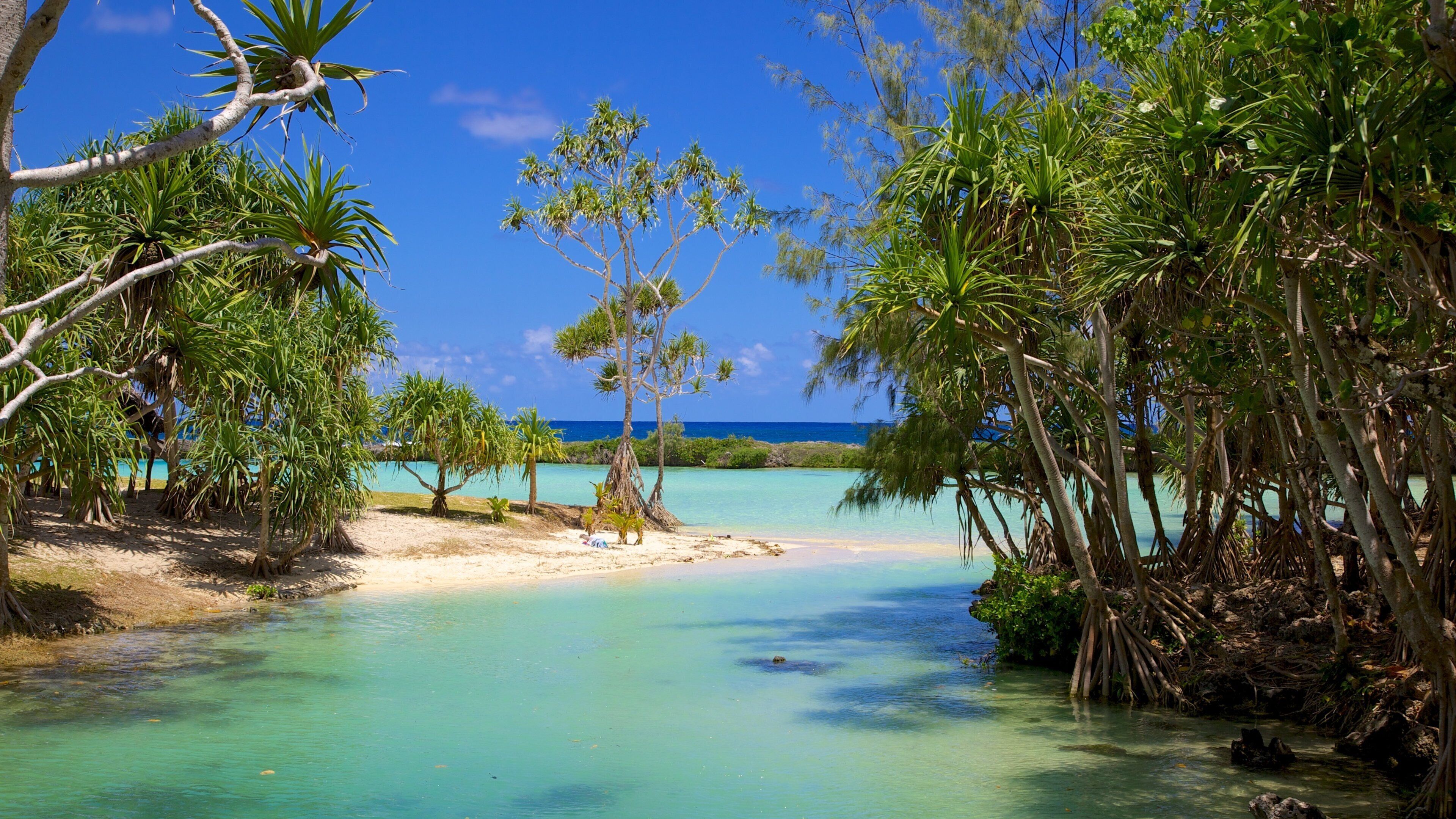 A tropical beach with clear turquoise waters, palm trees, and a sandy shore.