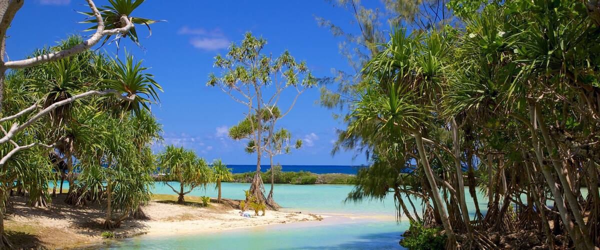 A tropical beach with clear turquoise waters, palm trees, and a sandy shore.