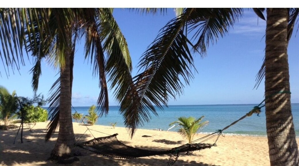 A great place to relax at Taiana's Resort on Uoleva Island, Ha'apai, Kingdom of Tonga. One of the world's best beaches.