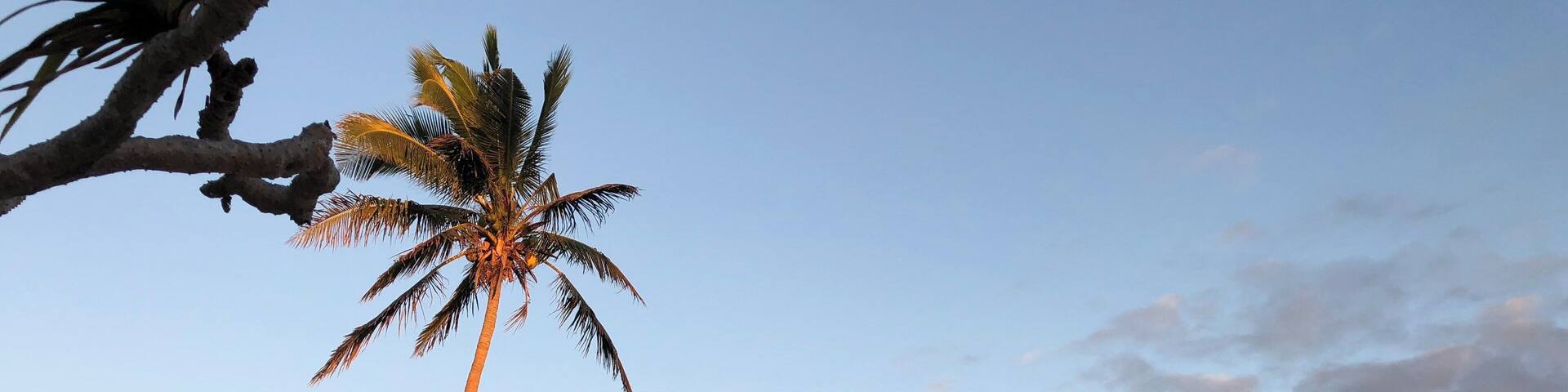 There may be other beaches as beautiful as this, but I don’t think any can surpass Uoleva Island in Tonga.