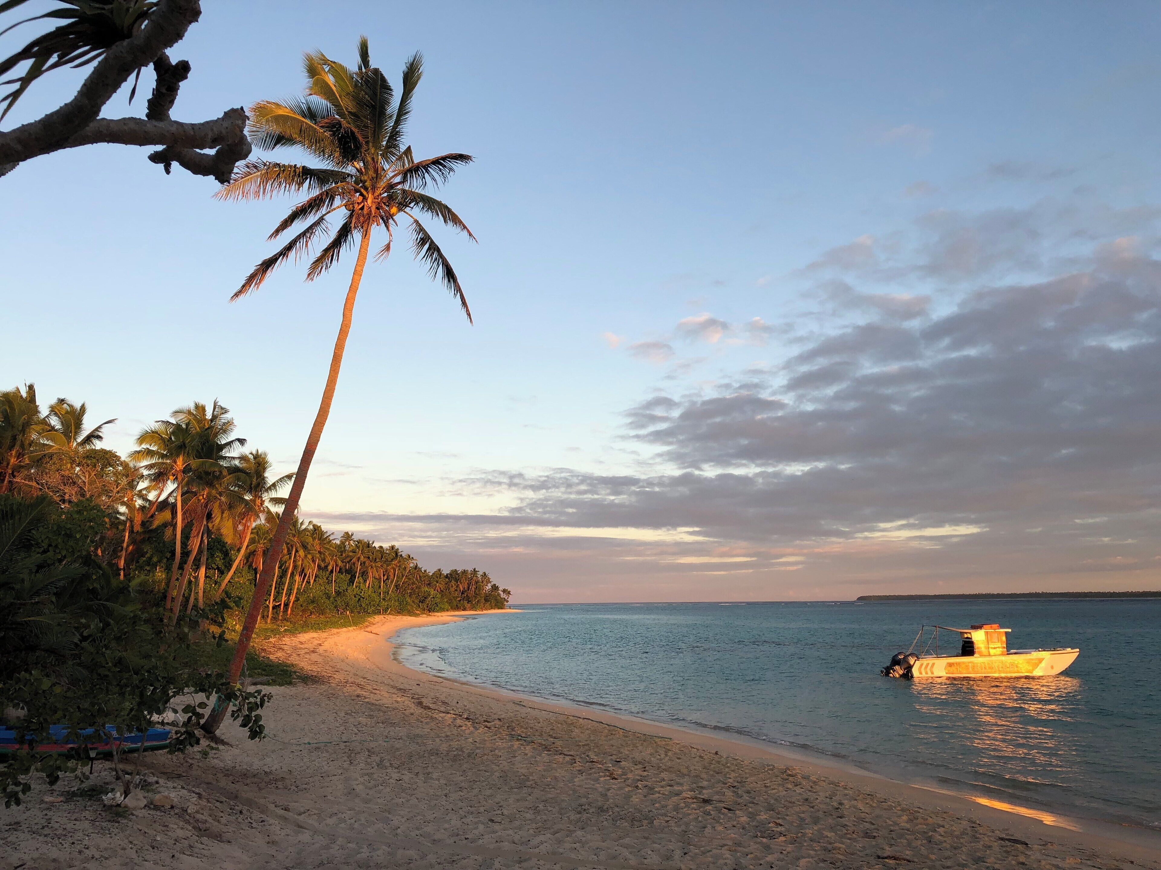 A beach with palm trees, a boat, and a clear sky.