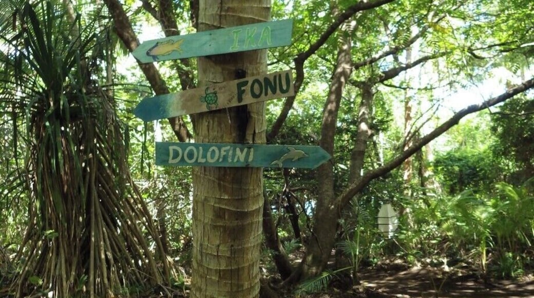 A trail at Serenity Beach Resort on the island of Uoleva in the Ha'apai group, Tonga. The signs point to different accommodations in the resort.