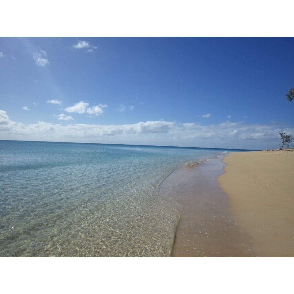 The most beautiful beach in the world is located on Uoleva Island, part of the Ha'apai Group in the Kingdom of Tonga. Clear water, white sand, palm trees, and humpback whales can be seen from the shore. 