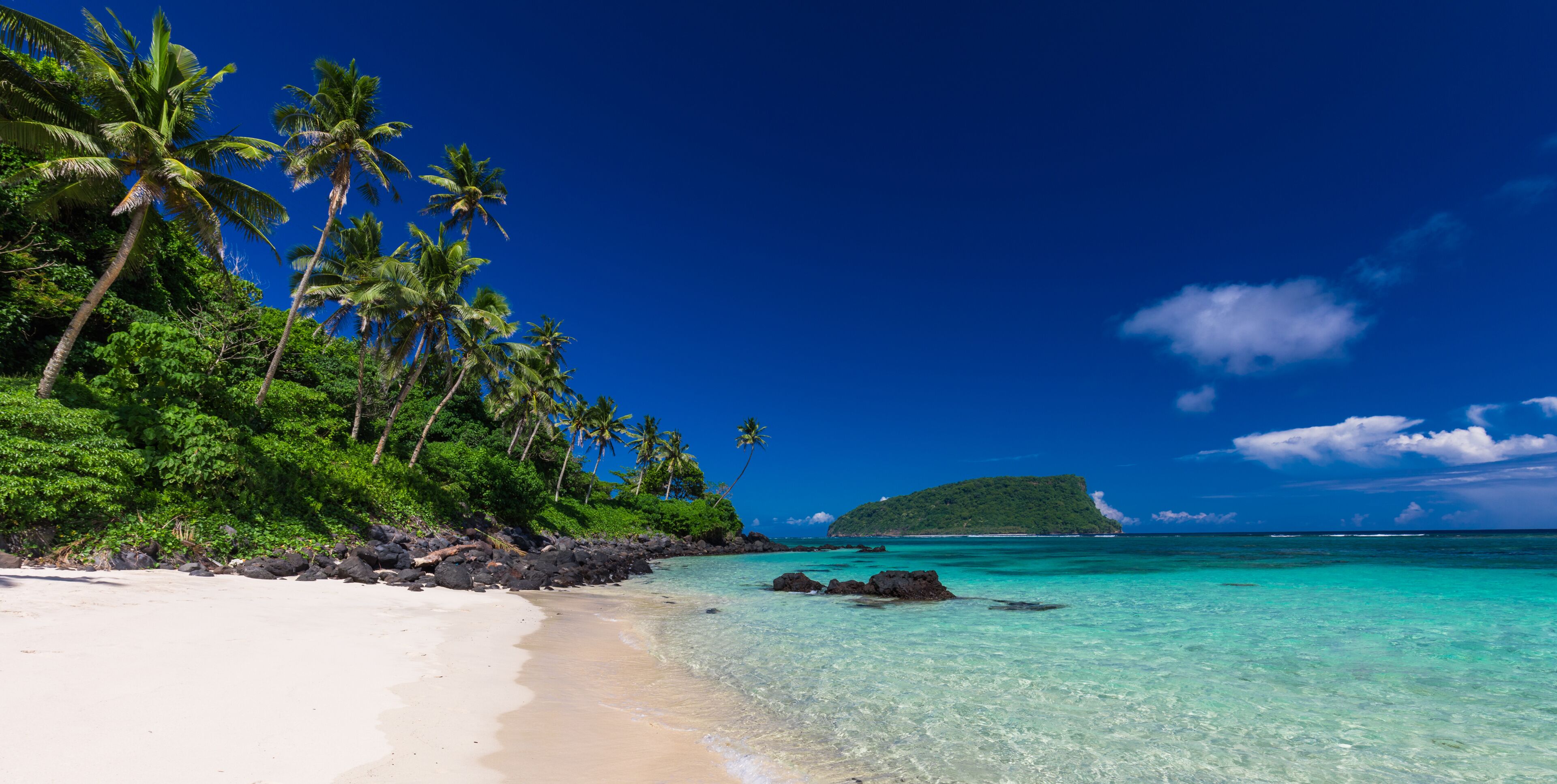 Tropical beach on south side of Samoa Island with coconut palm trees