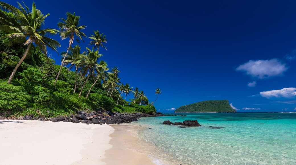 Tropical beach on south side of Samoa Island with coconut palm trees