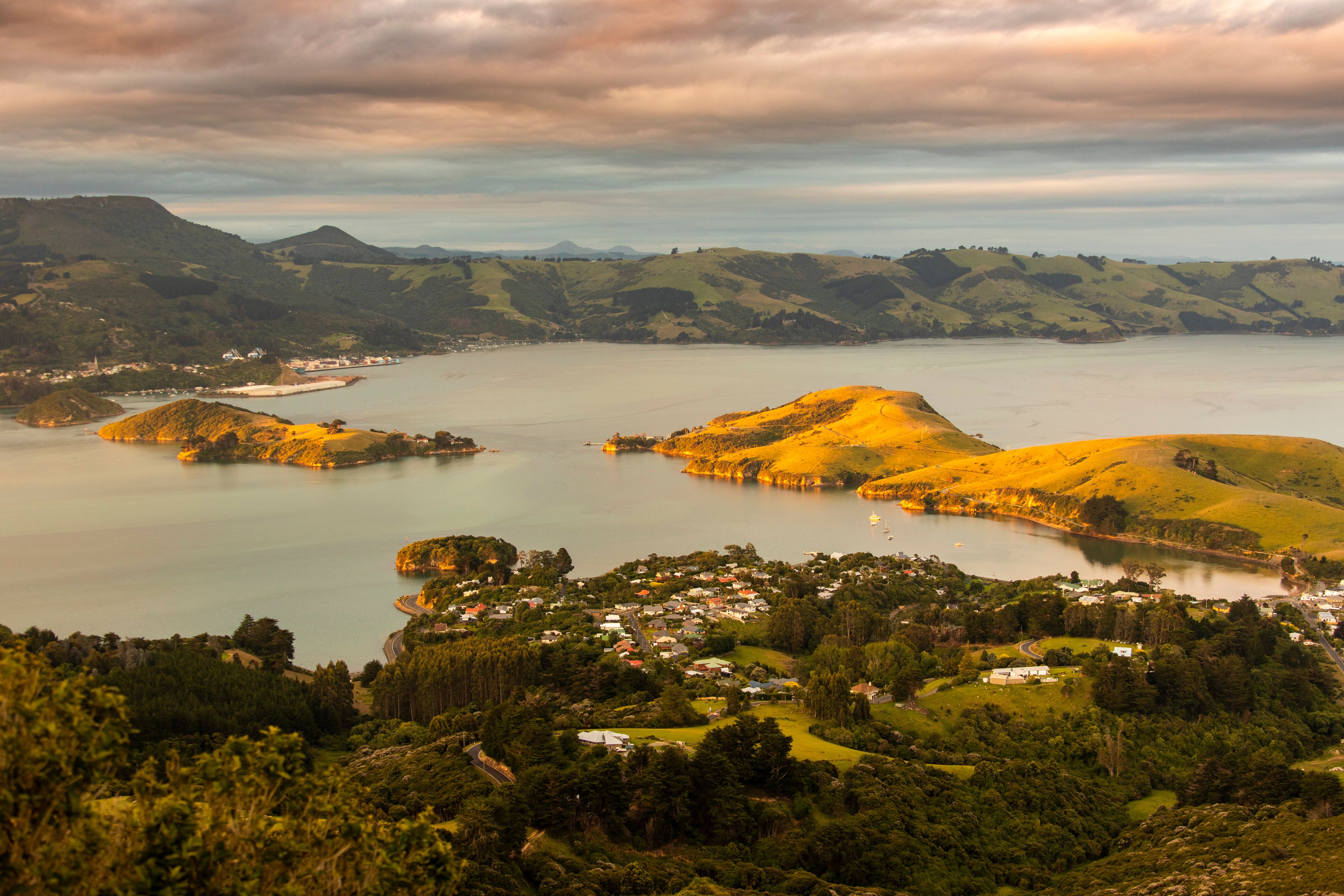 Portobello Harbour, near Dunedin, Otago, New Zealand