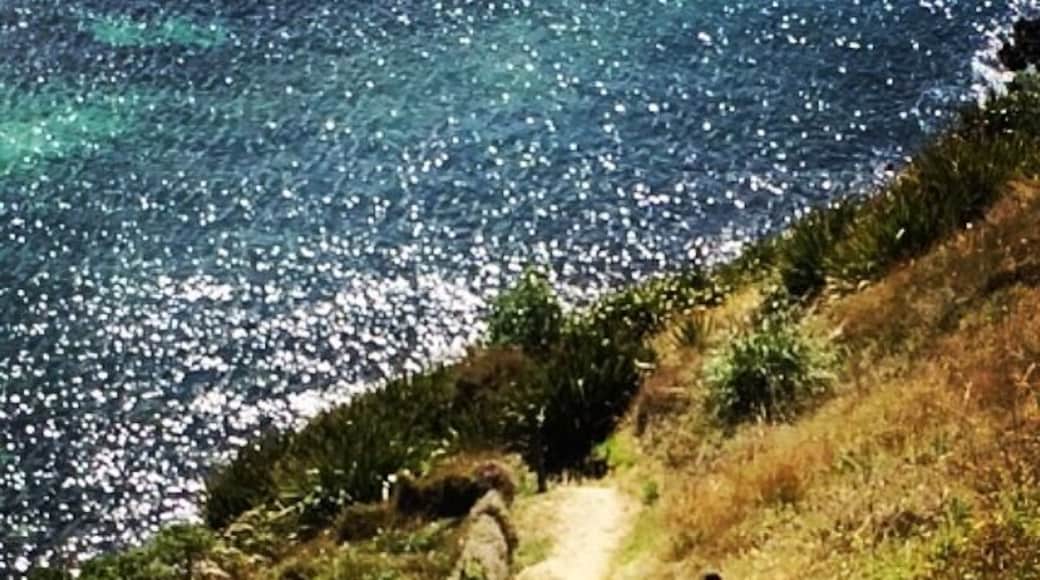 Amazing day in Optio Bay, NZ - much quieter place to visit (not as many tourists) with some great little hikes (shown in picture), great swimming and kayaking!