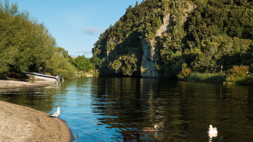Kuratau River Lagoon