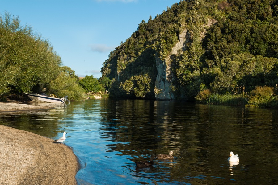 Kuratau River Lagoon