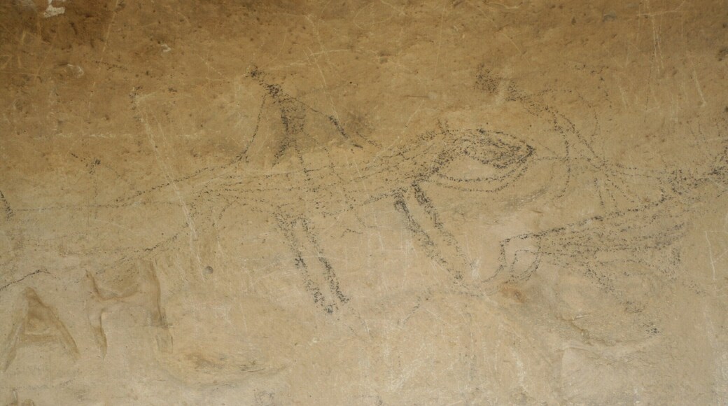 Maori rock art just outside of Duntroon. This is the Takiroa site. The rock art is protected by fences, and some of it is missing, but you get a good idea of what it was about.