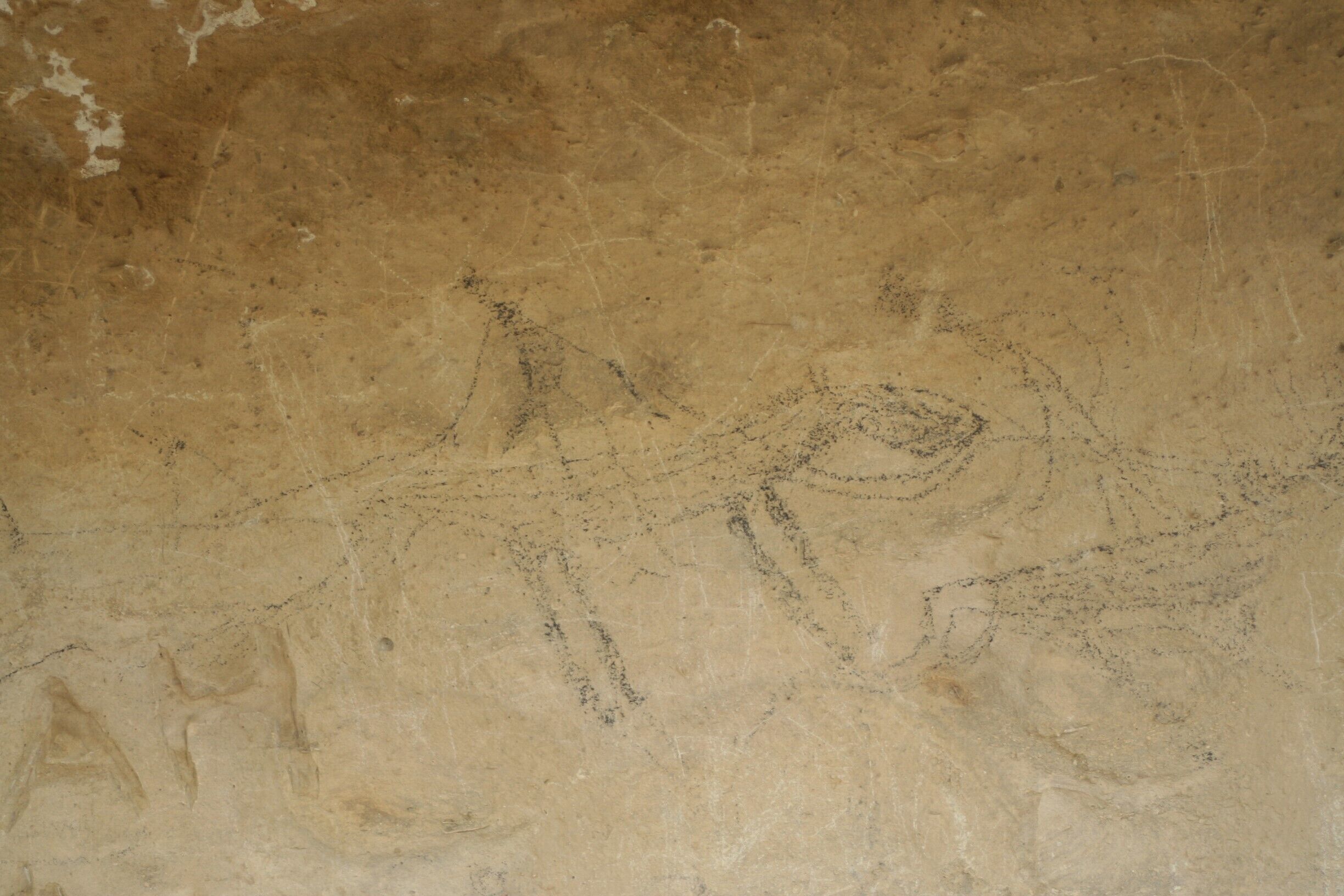 A textured wall with faint, ancient carvings.