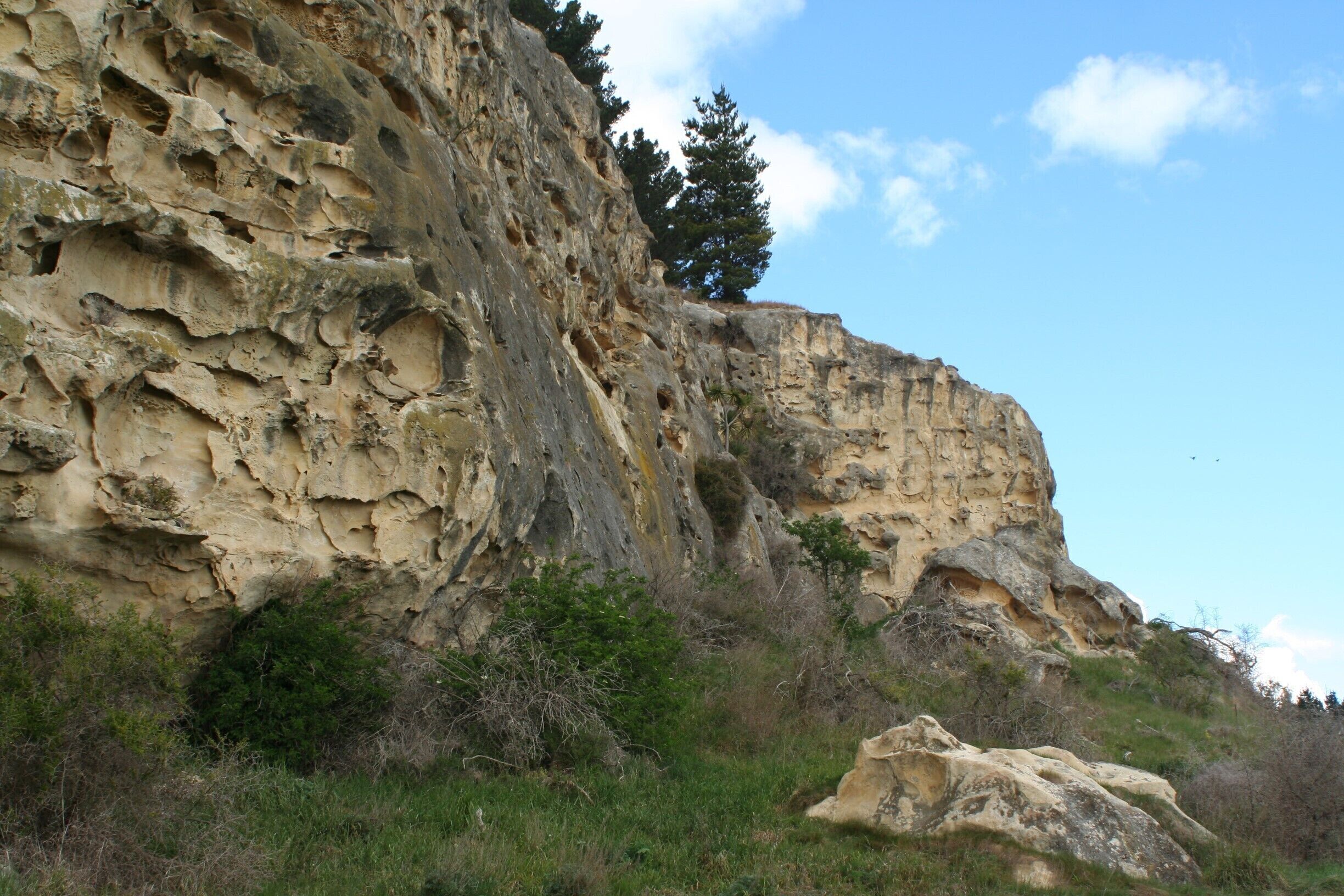 Besides rock art there are some really cool limestone walls at the Takiroa art site. 