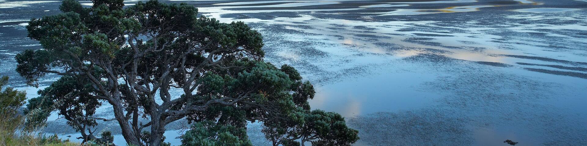 A48AWW Mt Moehau and Colville Bay Coromandel Peninsula North Island New Zealand NR