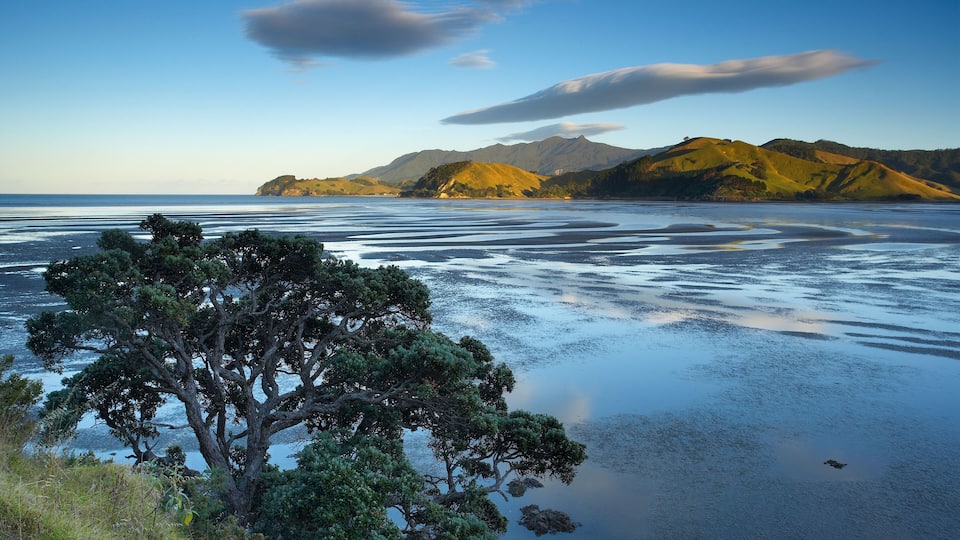 A48AWW Mt Moehau and Colville Bay Coromandel Peninsula North Island New Zealand NR