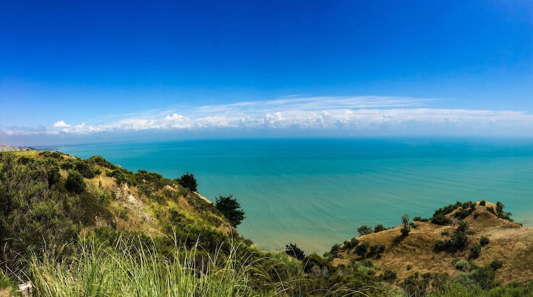 Limestone cliffs near Cape Kidnappers Golf course, with views of South Pacific Ocean, New Zealand