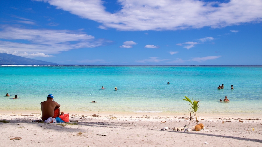 Teavaro which includes tropical scenes, general coastal views and swimming