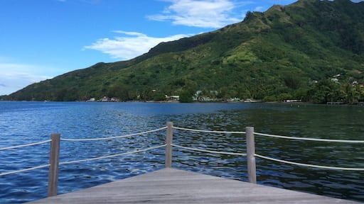 Moorea is a really cool little Island