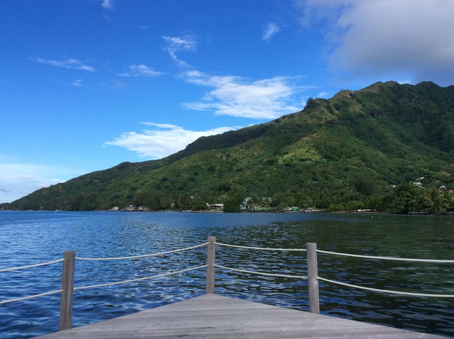 Moorea is a really cool little Island