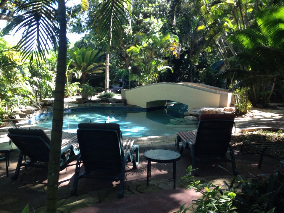 There are frogs everywhere here at night. Drunken walks back to the room after drinks and fire dances -- have to be careful where you step if you don't want to squish a froggy. 