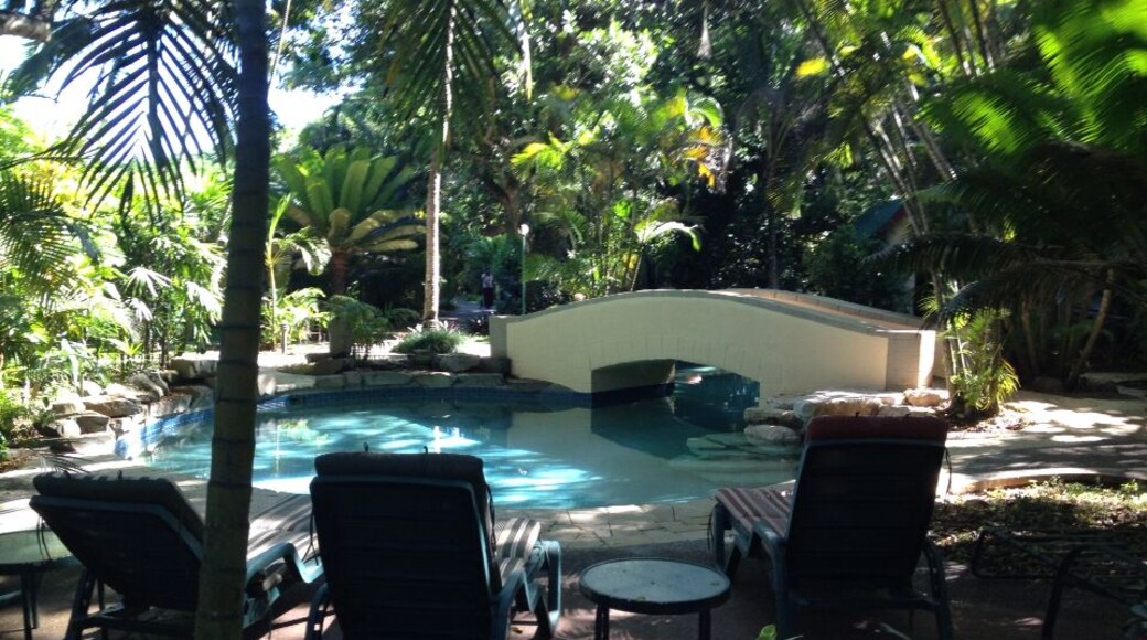 There are frogs everywhere here at night. Drunken walks back to the room after drinks and fire dances -- have to be careful where you step if you don't want to squish a froggy.