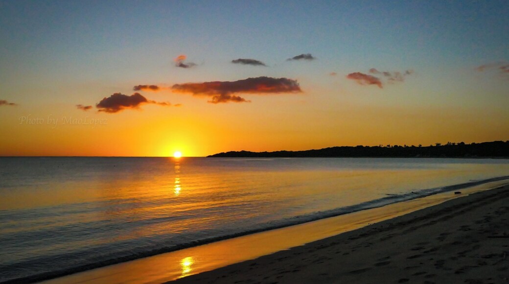 A beautiful corner of the world to rest and forget the concrete jungle