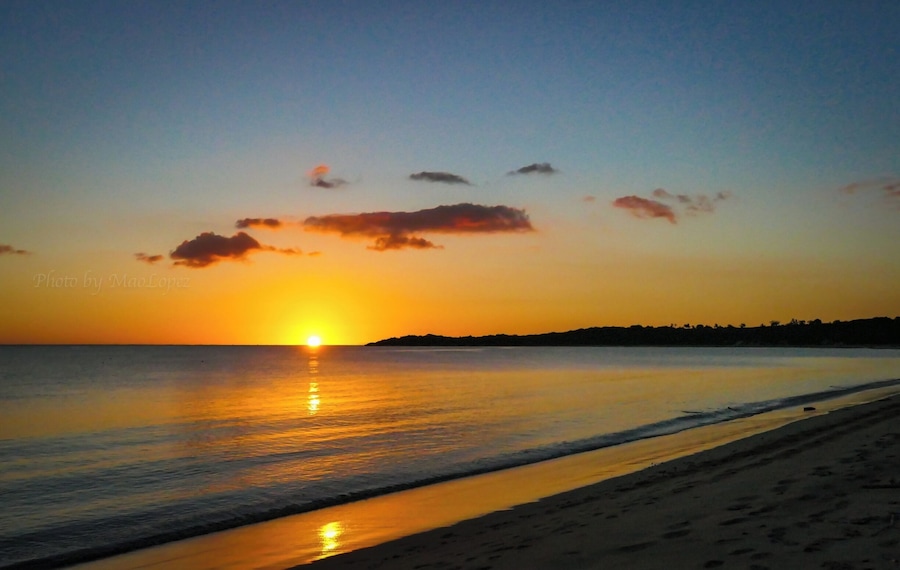 A beautiful corner of the world to rest and forget the concrete jungle