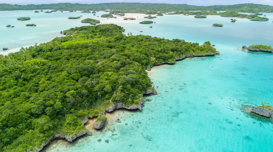 A lush green island surrounded by turquoise waters with several smaller islets.