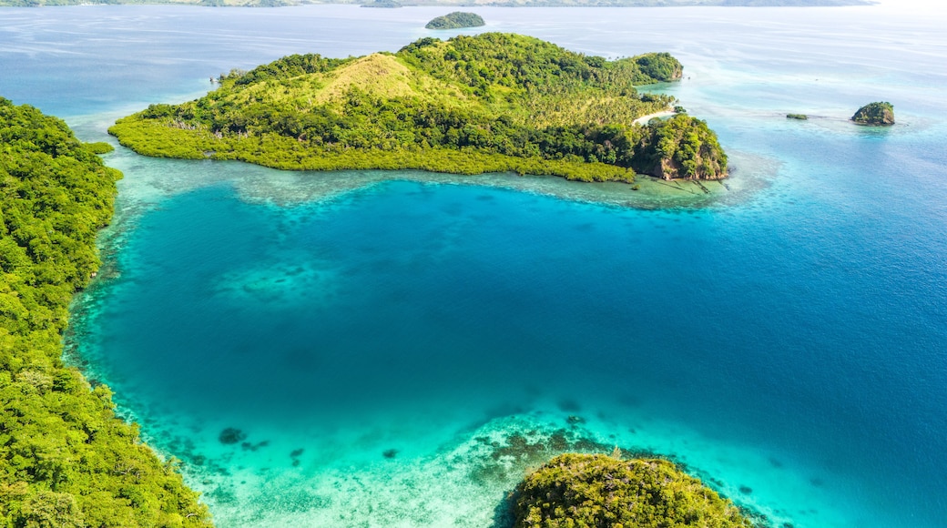 A tropical island surrounded by clear turquoise waters.