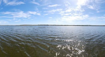 Un lago tranquilo con una orilla arbolada y cielo despejado.