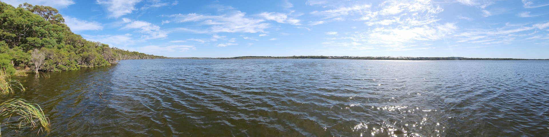 Un lago tranquilo con una orilla arbolada y cielo despejado.