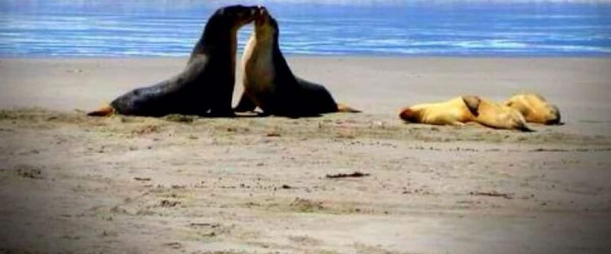 Family beach outing