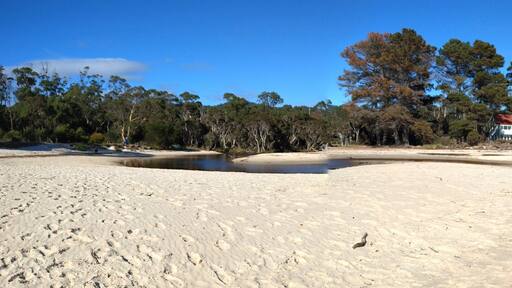 SISTERS BEACH, tasmania, australia