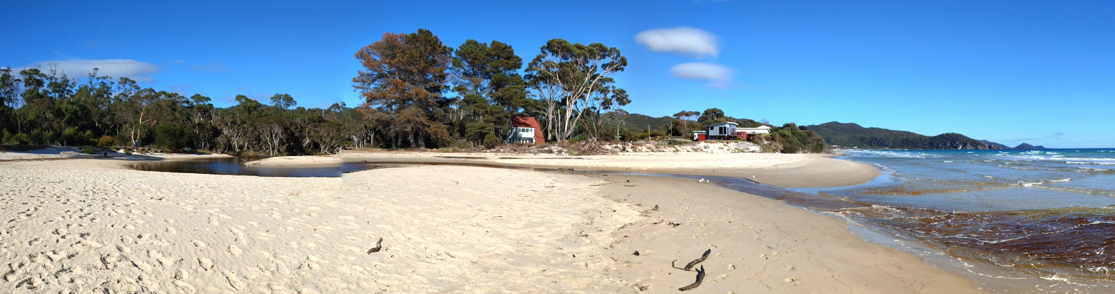 A sandy beach with footprints, a small house, and trees in the background.