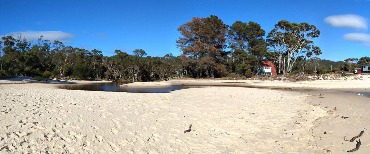 A sandy beach with footprints, a small house, and trees in the background.