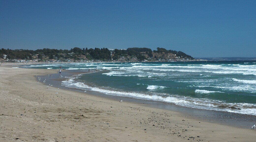 皮默尔斯山德斯