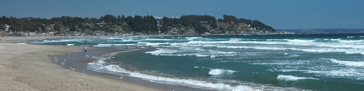 flor, naturaleza, blanco, margarita, fábrica, verde, flora, loto, huerta, primavera, rosa, morada, verano, acuático, azucena, beldad, florecer, flor, macro, florecer, amarilla, floral, pétalo, hermoso