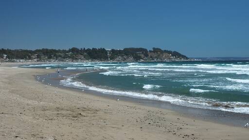 flor, naturaleza, blanco, margarita, fábrica, verde, flora, loto, huerta, primavera, rosa, morada, verano, acuático, azucena, beldad, florecer, flor, macro, florecer, amarilla, floral, pétalo, hermoso