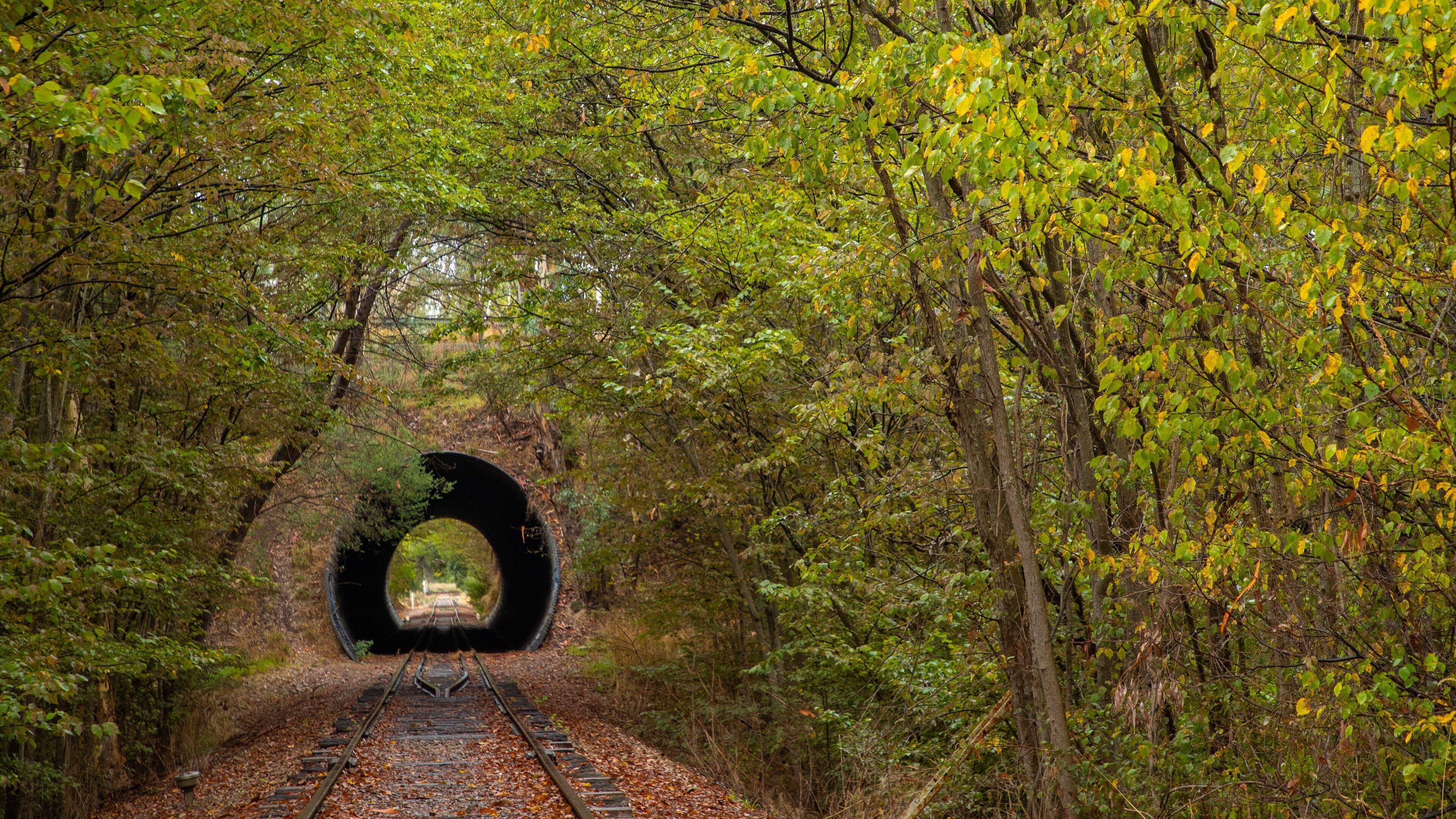 Mount Barker featuring railway items and forests