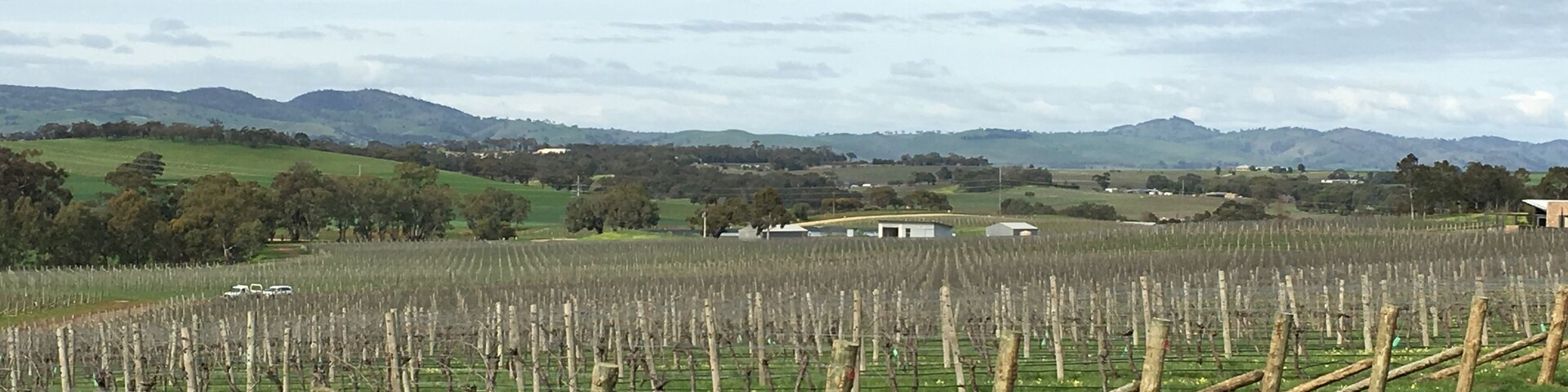 Seppeltsfield high road looking across the valley near Marananga church.