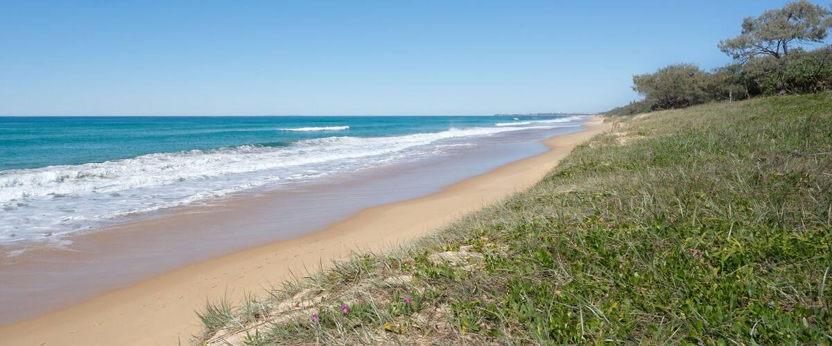 A sandy beach with gentle waves, green vegetation, and a clear blue sky.