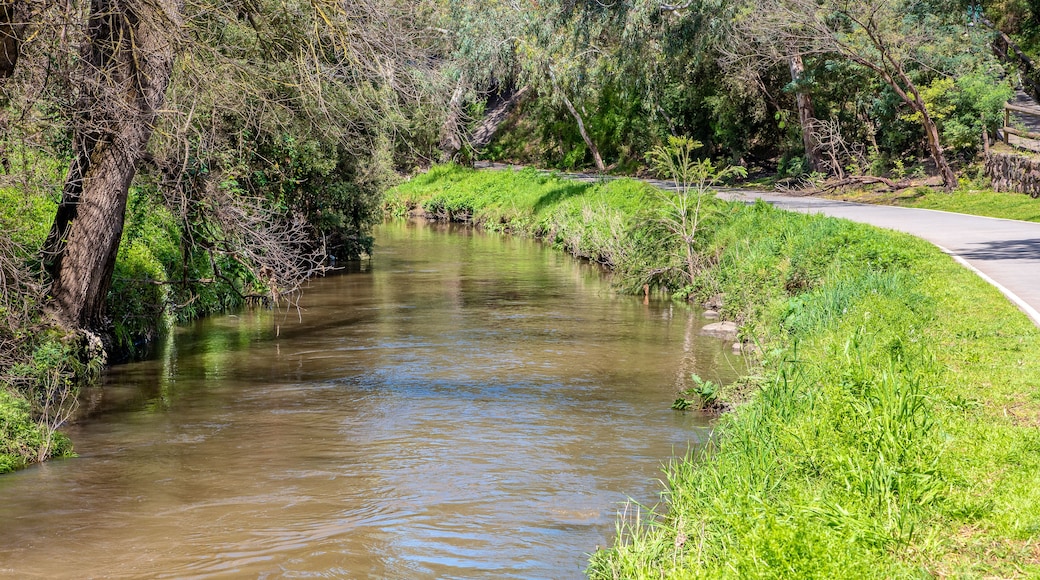 A narrow waterway flanked by lush greenery and a paved path.