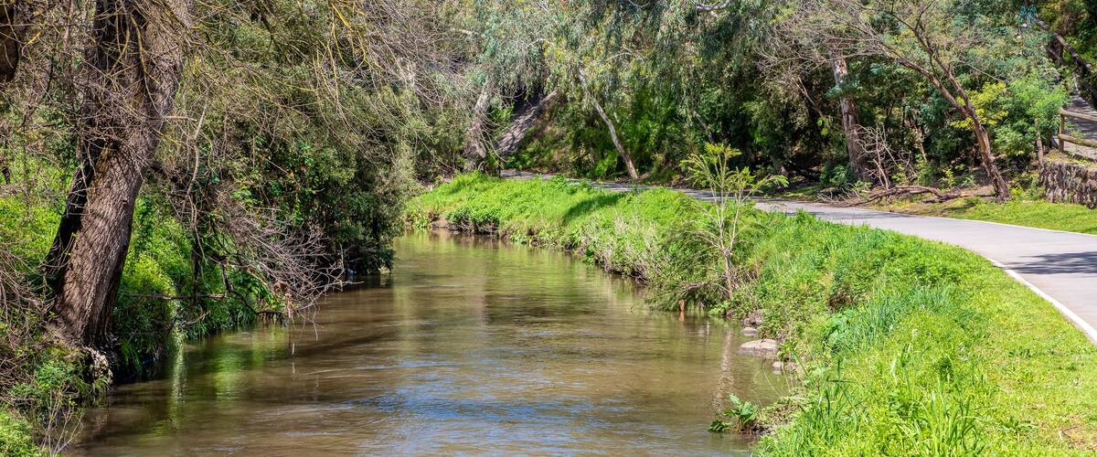 A calm tranquil scene of Merri Creek flowing through the suburbs of Melbourne Australia
