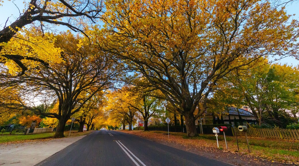 Glenlyon Main Street in Victoria Australia