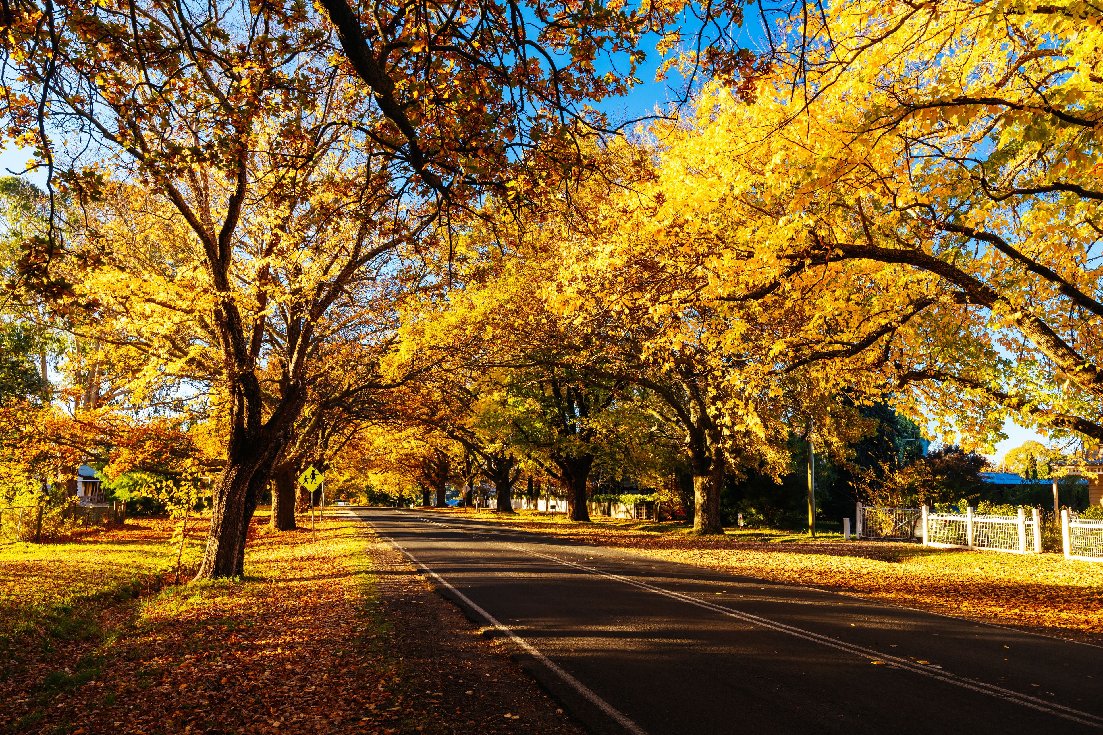 Glenlyon Main Street in Victoria Australia